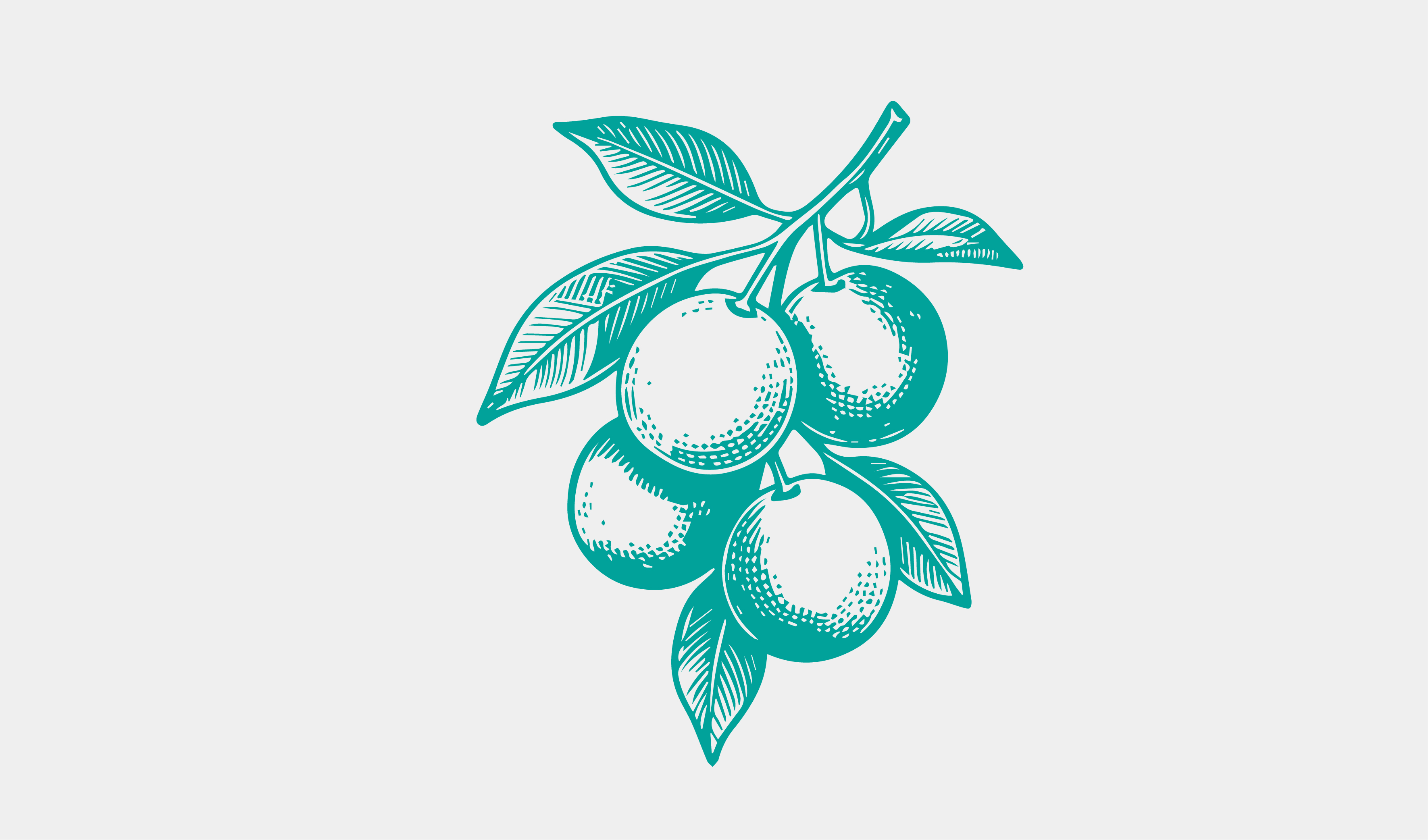 文创-绘画-青桔版画